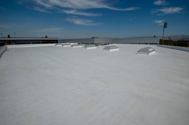 Best Solar Panel Roofing Installation  in Muhlenberg Rk, PA